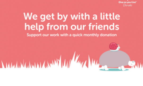 donate_to_shanthi_vihara