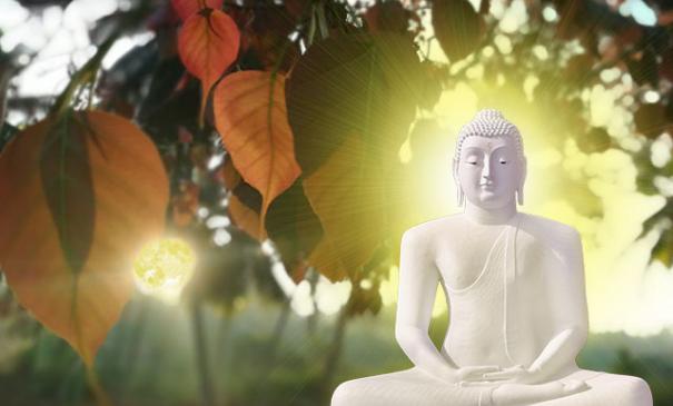 shanthi vihara sil programmes